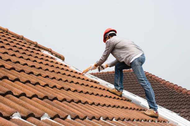 Best Roof Installation  in Gordo, AL